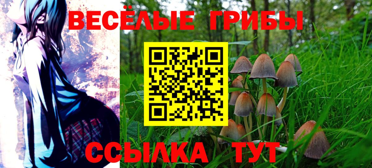 Галлюциногенные грибы мицелий Корсаков