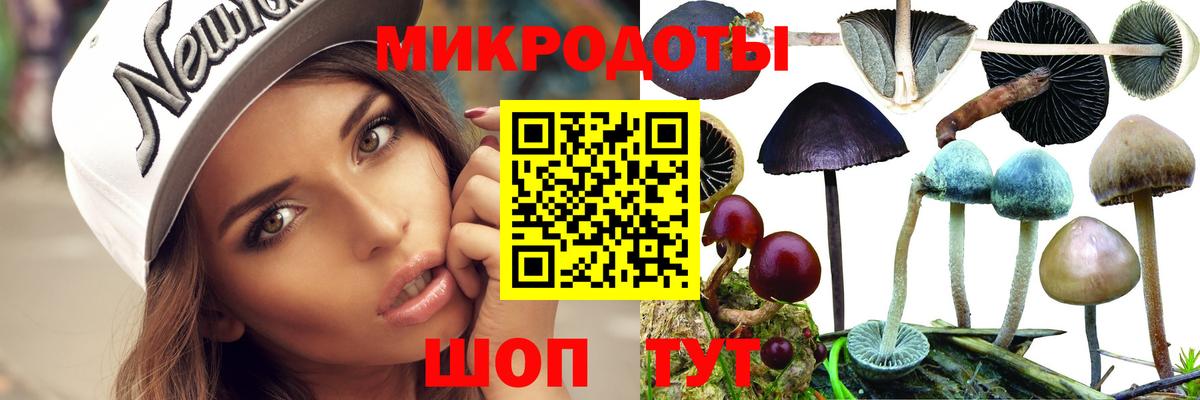 Галлюциногенные грибы Cubensis  Вход с VPN  Корсаков 